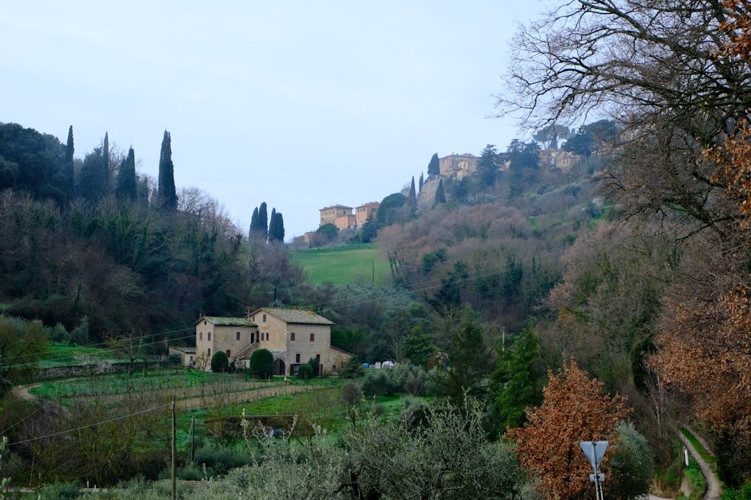 secluded vineyard italy